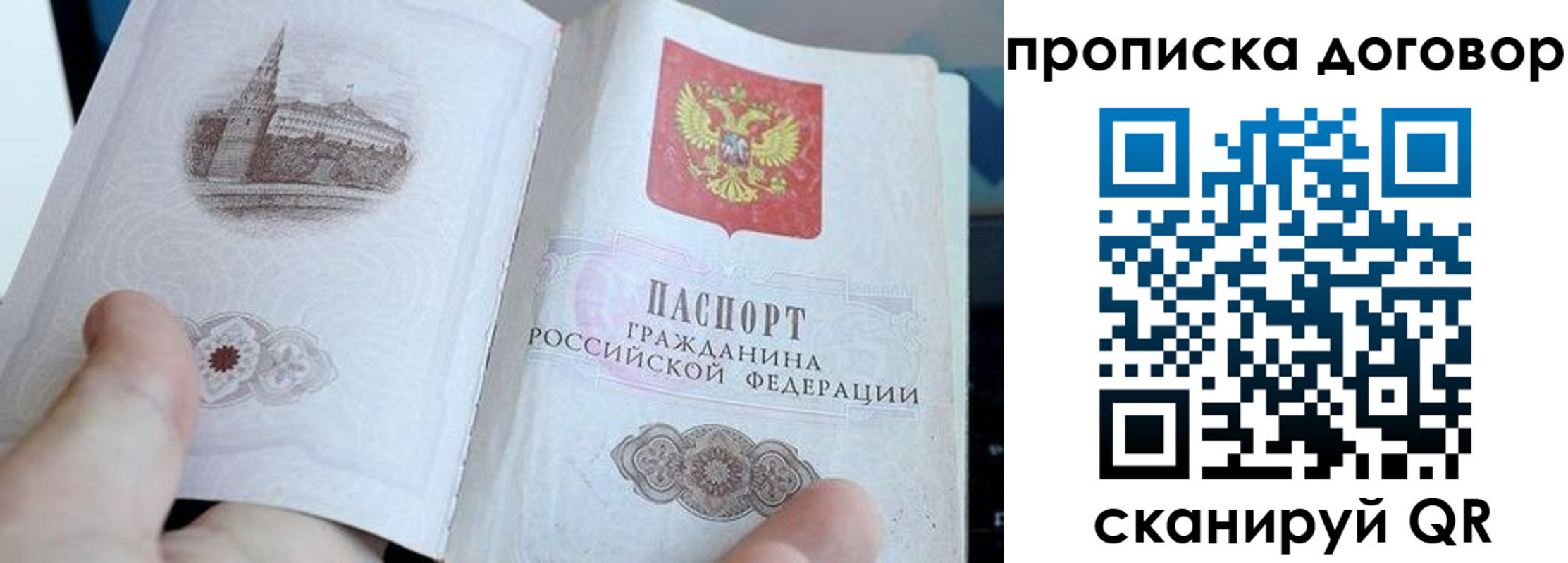 прописка в Шебекино